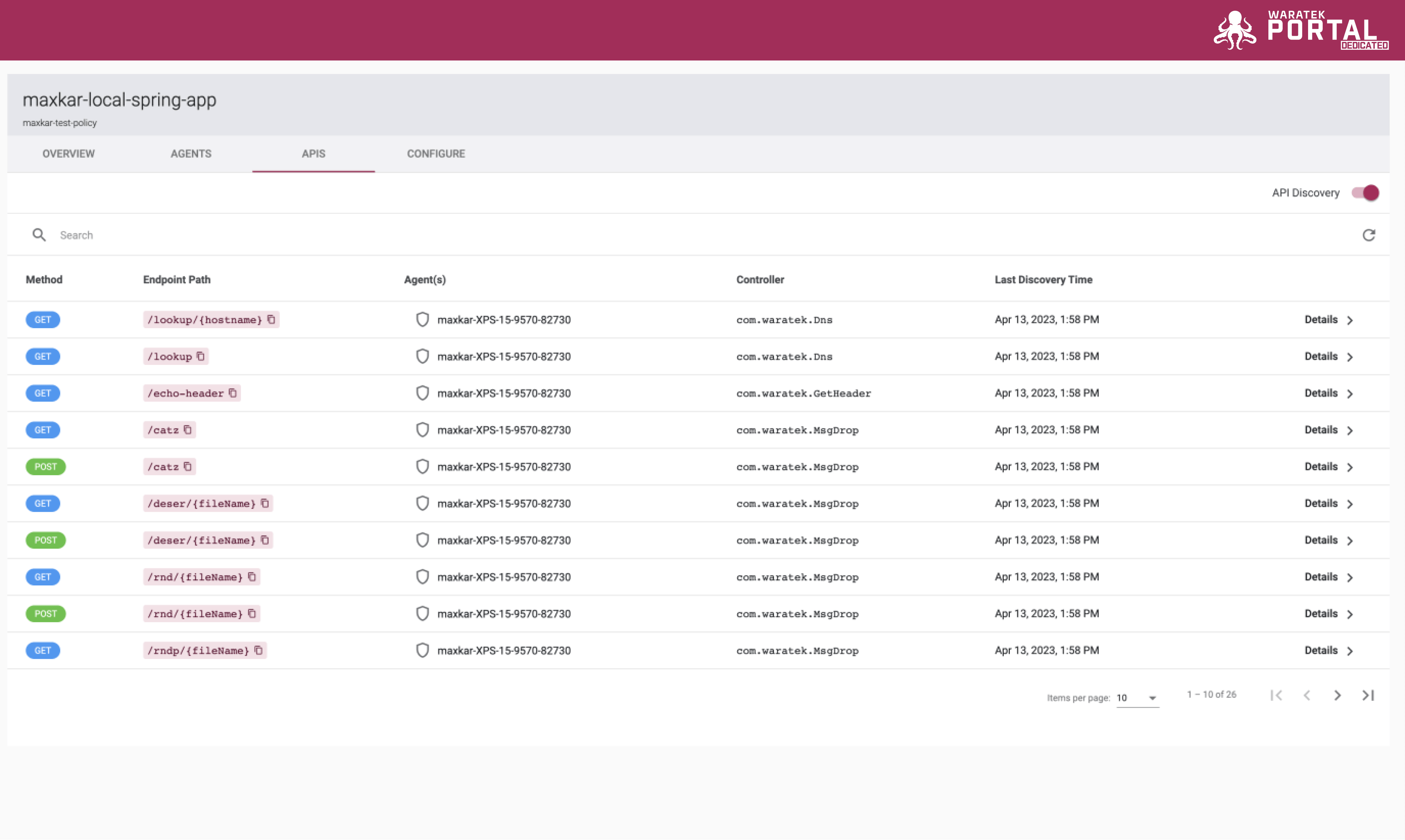 Screenshot of the API Table listing discovered endpoints for an application