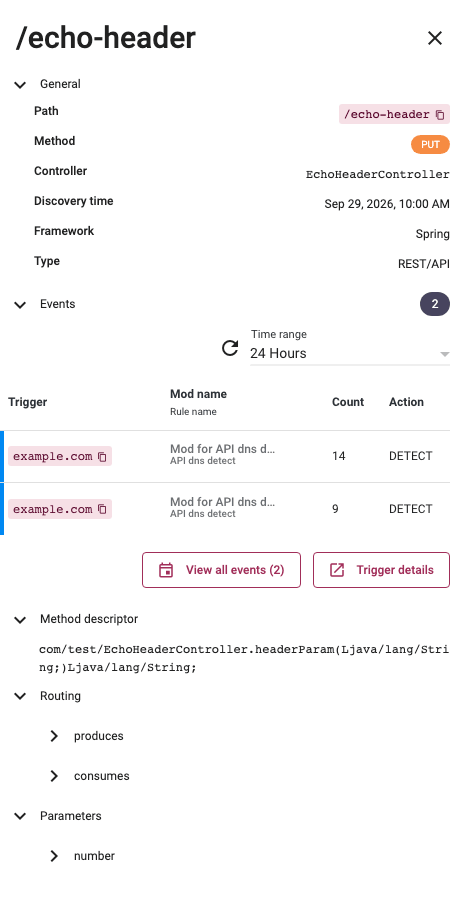 Screenshot of an API endpoint's Routing Details and Parameters shown in the details side panel